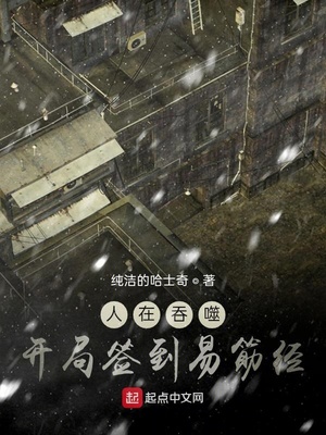 地铁诗晴系列小说