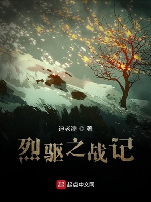 晚上看什么最过瘾