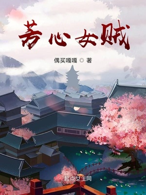 芳心女贼