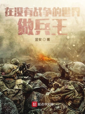 在没有战争的世界做兵王